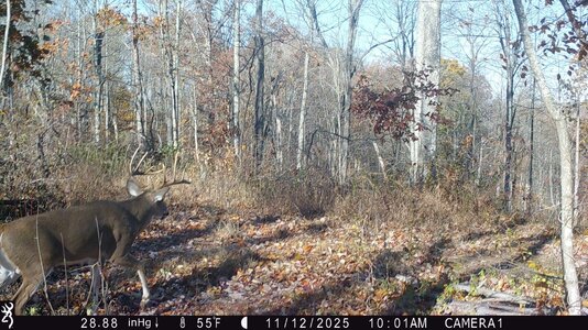 IMG_0010 (1300 x 731).jpg