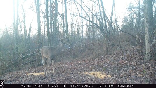 IMG_0064 (1300 x 731).jpg