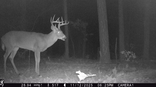 IMG_0015 (1300 x 731).jpg