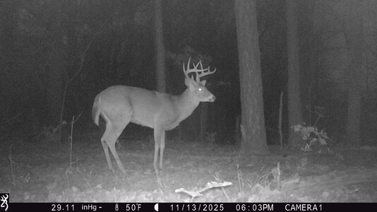 IMG_0192 (1300 x 731).jpg