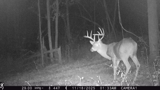 IMG_0022 (1300 x 731).jpg