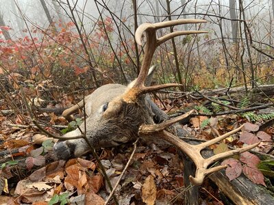 IMG_8101 (1200 x 900).jpg