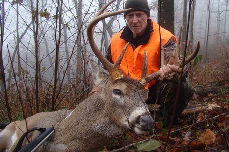 DSC07031 (1200 x 800).jpg