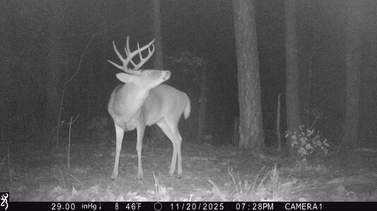 IMG_0072 (1301 x 731).jpg