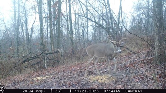 IMG_0069 (1300 x 731).jpg