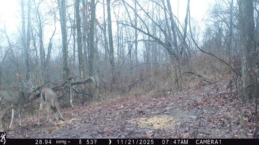 IMG_0070 (1300 x 731).jpg