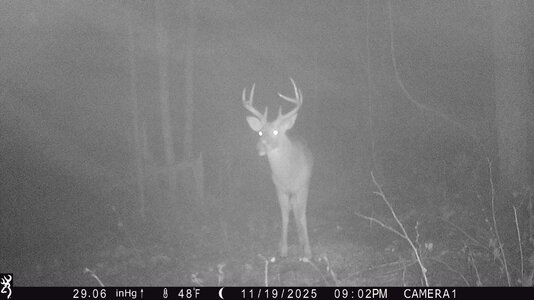 IMG_0012 (1300 x 731).jpg