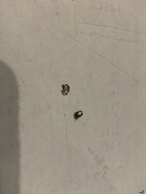 IMG_8166 (900 x 1200).jpg