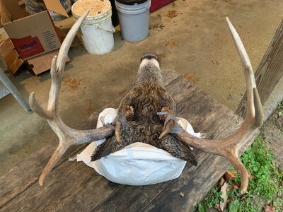 IMG_8142 (1200 x 900).jpg