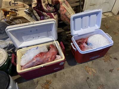 IMG_8143 (1200 x 900).jpg