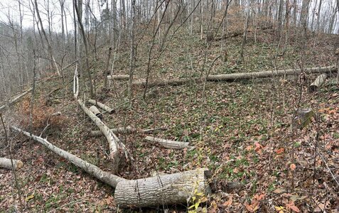 IMG_8171 (1200 x 756).jpg