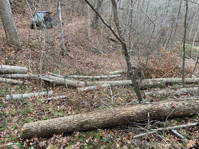 IMG_8175 (1200 x 900).jpg