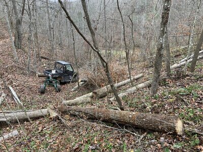 IMG_8178 (1200 x 900).jpg