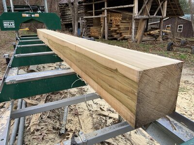 IMG_8189 (1200 x 900).jpg