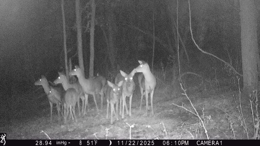 IMG_0010 (1200 x 675).jpg