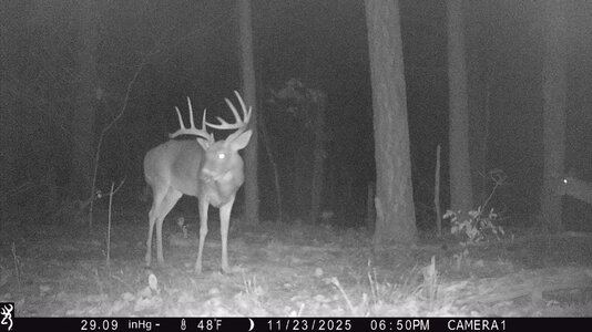 IMG_0364 (1300 x 731).jpg