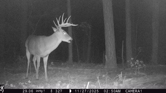 IMG_0642 (1300 x 731).jpg