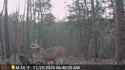 vr1-DSCF0405.jpg vr1-DSCF0405.jpg