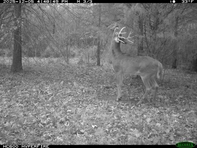 y1-IMG_0519.jpg y1-IMG_0519.jpg