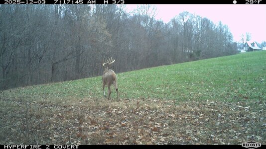 y1-RCNX0279.jpg y1-RCNX0279.jpg