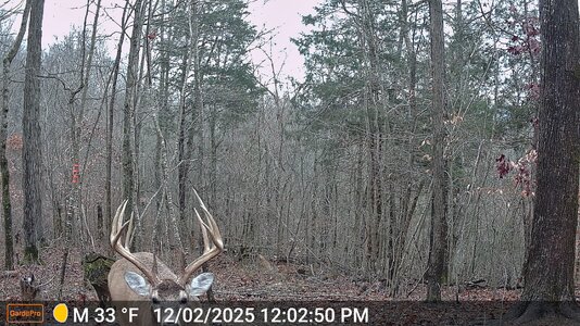 y1-DSCF0917.jpg y1-DSCF0917.jpg