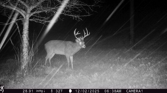 y1-IMG_0008.jpg y1-IMG_0008.jpg