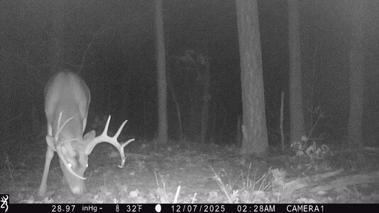 IMG_1226 (1300 x 731).jpg IMG_1226 (1300 x 731).jpg