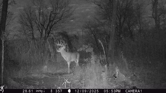 IMG_0318 (1300 x 731).jpg IMG_0318 (1300 x 731).jpg