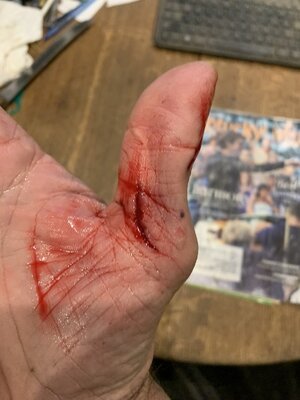 IMG_8242 (900 x 1200).jpg IMG_8242 (900 x 1200).jpg