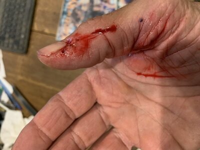 IMG_8243 (1200 x 900).jpg IMG_8243 (1200 x 900).jpg