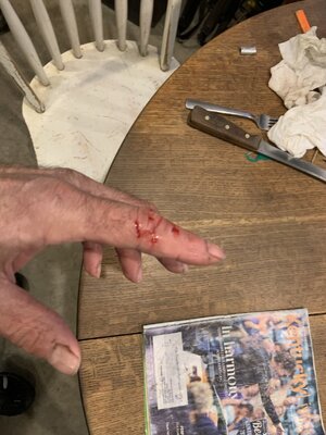 IMG_8245 (900 x 1200).jpg IMG_8245 (900 x 1200).jpg