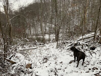 IMG_8301 (1200 x 900).jpg IMG_8301 (1200 x 900).jpg