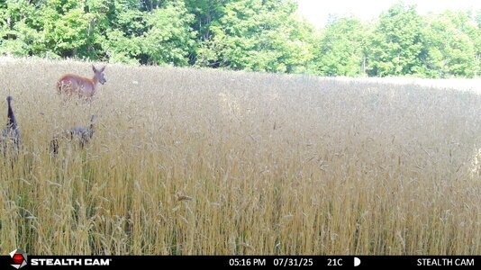 STC_0468.JPG STC_0468.JPG