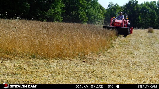 STC_1885.JPG STC_1885.JPG