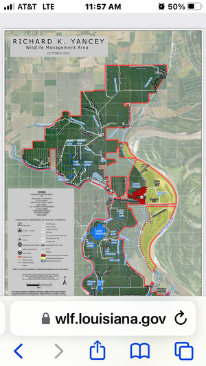 IMG_4903.png IMG_4903.png