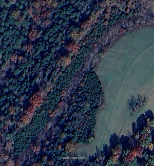 Screenshot from 2025-12-27 07-50-55.png