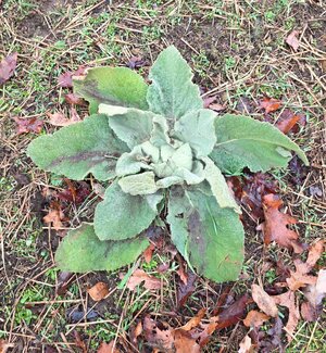 20251228_124632.jpg 20251228_124632.jpg