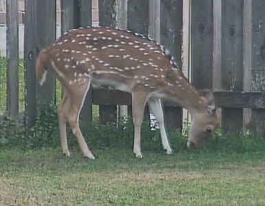 Screenshot 2026-01-08 161231.jpg