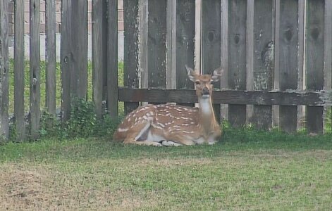 Screenshot 2026-01-08 161211.jpg