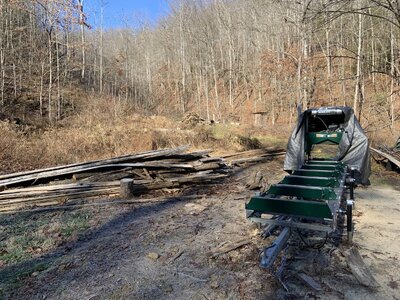 IMG_8417 (1200 x 900).jpg