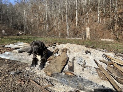 IMG_8427 (1200 x 900).jpg