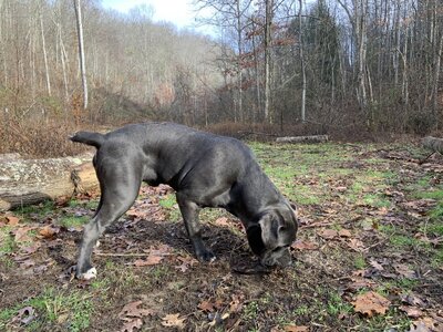 IMG_8447 (1200 x 900).jpg