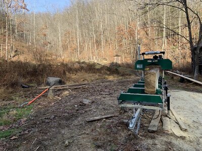 IMG_8449 (1200 x 900).jpg