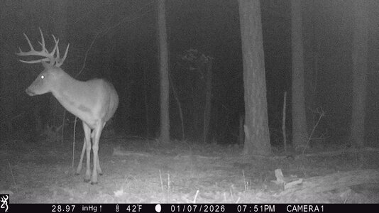 IMG_1026 (1300 x 731).jpg