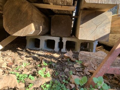 IMG_8471 (1200 x 900).jpg