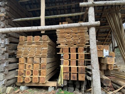 IMG_8481 (1200 x 900).jpg