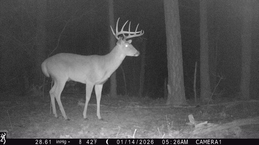 IMG_1428 (1300 x 731).jpg IMG_1428 (1300 x 731).jpg