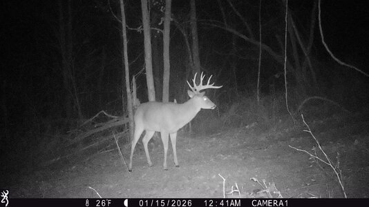 IMG_1364 (1300 x 731).jpg IMG_1364 (1300 x 731).jpg