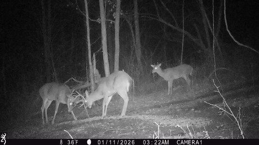 IMG_0412 (1300 x 731).jpg IMG_0412 (1300 x 731).jpg