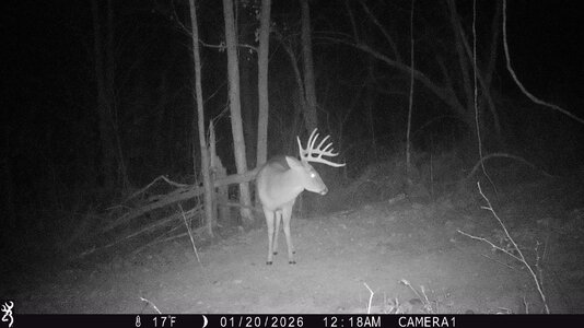 IMG_1089 (1300 x 731).jpg IMG_1089 (1300 x 731).jpg